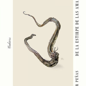 De la estirpe de las amazonas