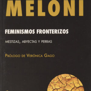 Feminismos fronterizos