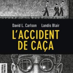 L'accident de caça