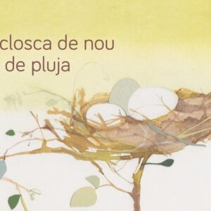 Mitja closca de nou plena de pluja