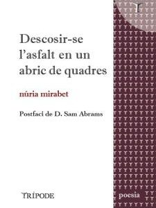 Descosir-se l'asfalt en un abric de quadres