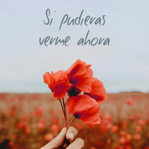 SI PUDIERAS VERME AHORA