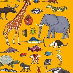 Busca y encuentra entre los animales