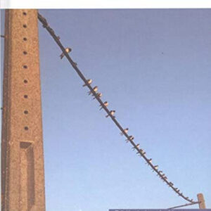 PALABRAS EN SU VUELO