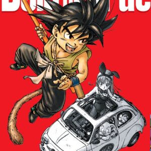 Bola de Drac Definitiva nº 01/34