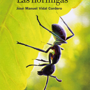 Las hormigas
