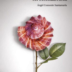 El socialismo de lo pequeño en Hondarribia