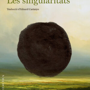 Les singularitats