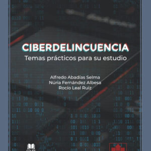 Ciberdelincuencia: temas prácticos para su estudio