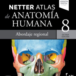 Netter atlas de anatomia humana abordaje regiona