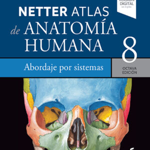 Netter. Atlas de anatomía humana. Abordaje por sistemas