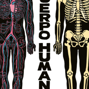 El cuerpo humano