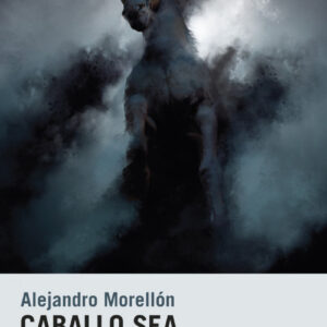 CABALLO SEA LA NOCHE