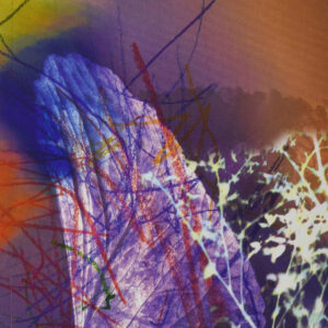 Inclusiones. Estética del capitaloceno