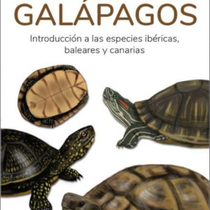 TORTUGAS DE TIERRA Y GALAPAGOS - GUIAS DESPLEGABLES TUNDRA