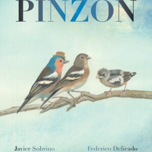 Pinzón