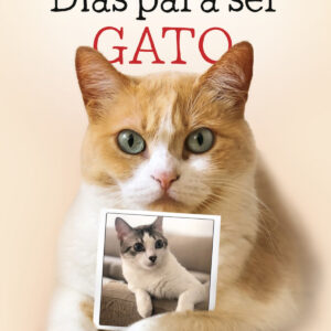 Días para ser gato