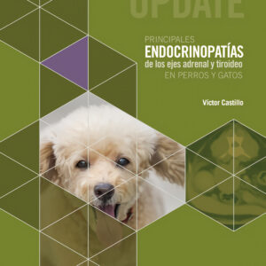 Servet update. Principales endocrinopatías de los ejes adrenal y tiroideo en perros y gatos