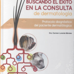 BUSCANDO EL ÉXITO EN LA CONSULTA DE DERMATOLOGÍA
