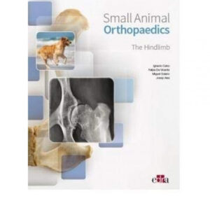 Small animal orthopaedics. The hindlimb