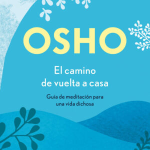 El camino de vuelta a casa