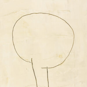 Elogio de la fragilidad