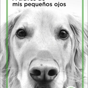 A TRAVÉS DE MIS PEQUEÑOS OJOS