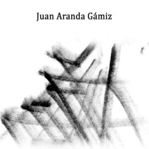 Carta a un pol¡tico