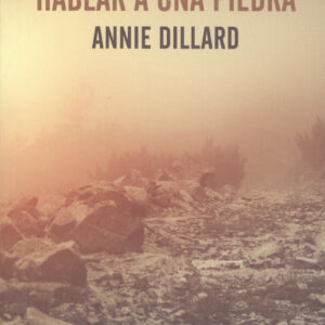 ENSEÑARLE A HABLAR A UNA PIEDRA