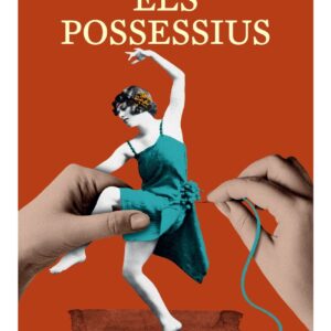 Els possessius