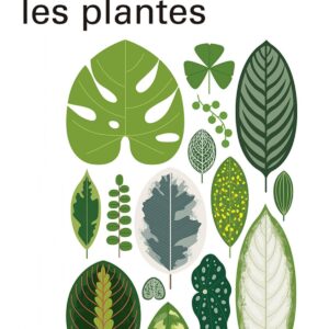 La nació de les plantes
