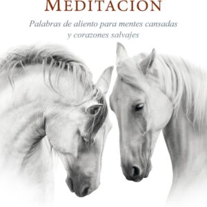 La dicha de la verdadera meditación