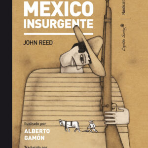 México Insurgente