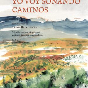 Yo voy soñando caminos