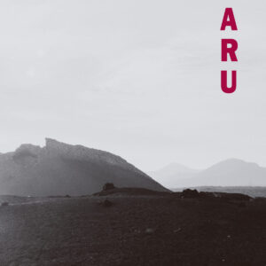 Pensamientos de Haru