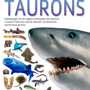 Taurons, Descobreix
