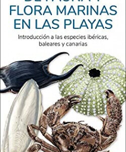 RESTOS DE FAUNA Y FLORA MARINAS EN LAS PLAYAS