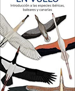 GRANDES AVES EN VUELO - GUIAS DESPLEGABLES TUNDRA