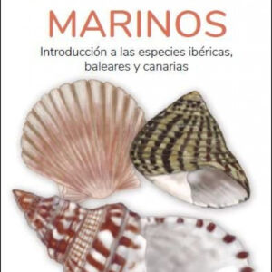 CONCHAS Y CARACOLES MARINOS - GUIAS DESPLEGABLES TUNDRA