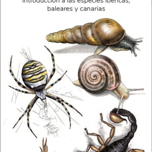 INVERTEBRADOS TERRESTRES - GUIAS DESPLEGABLES TUNDRA