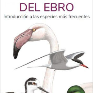 AVES DEL DELTA DEL EBRO - GUIAS DESPLEGABLES TUNDRA