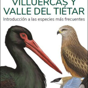 AVES DE MONFRAGUE, VILLUERCAS Y VALLE DEL TIETAR - GUIAS DESPLEGABLES TUNDRA