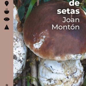 Guía práctica de setas