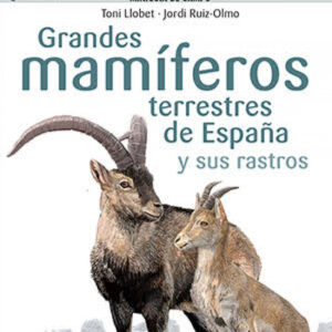 Grandes mamíferos terrestres de España y sus rastros