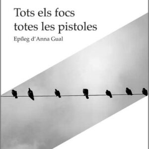 Tots els focs totes les pistoles