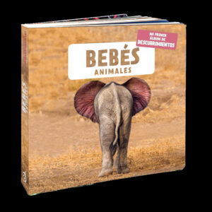 Bebés animales
