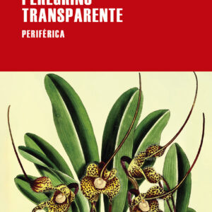 Peregrino transparente