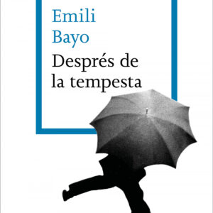 Després de la tempesta
