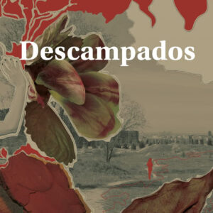 DESCAMPADOS