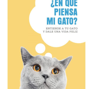 EN QUE PIENSA MI GATO